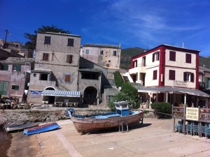 corse-centuri.jpg (image - 300 x 200 free)