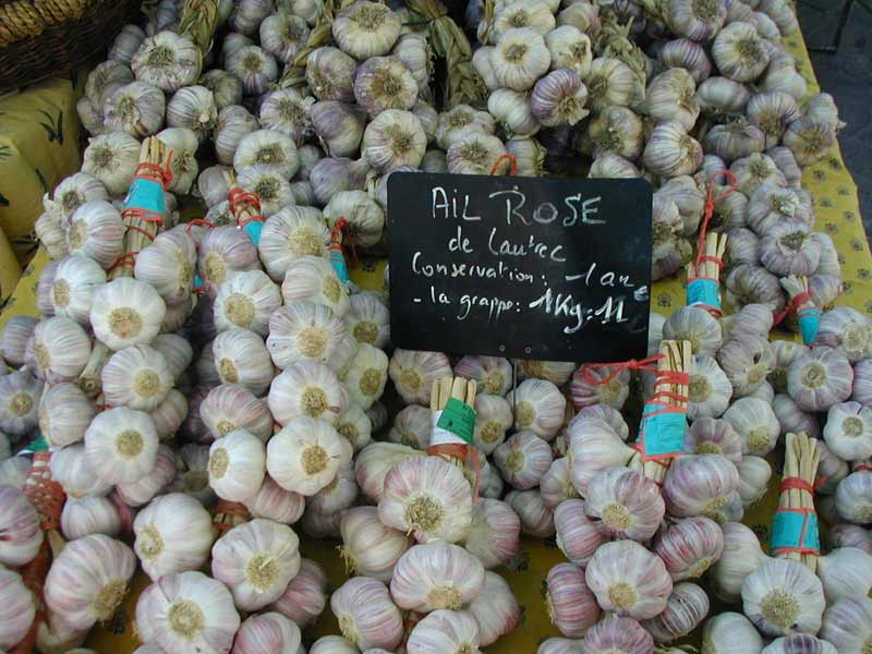 L’ail rose de Lautrec Le webzine des voyages par Louise Gaboury L’ail rose de Lautrec Le webzine des voyages par Louise Gaboury